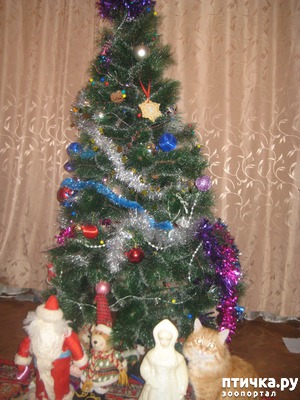 ����: ��� � ����