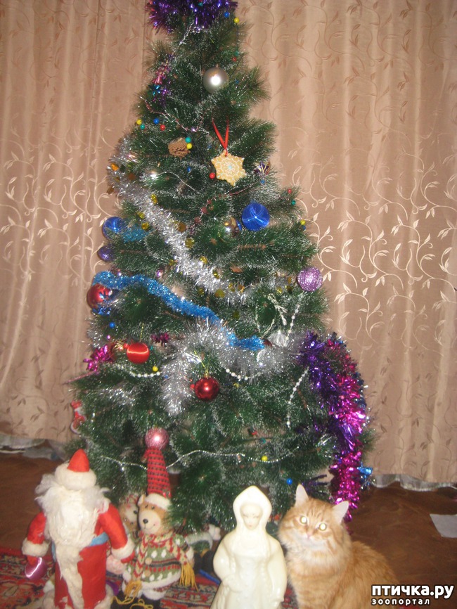 ���� 1: ��� � ����