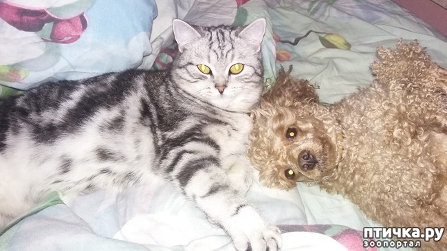 ���� 2: ��������