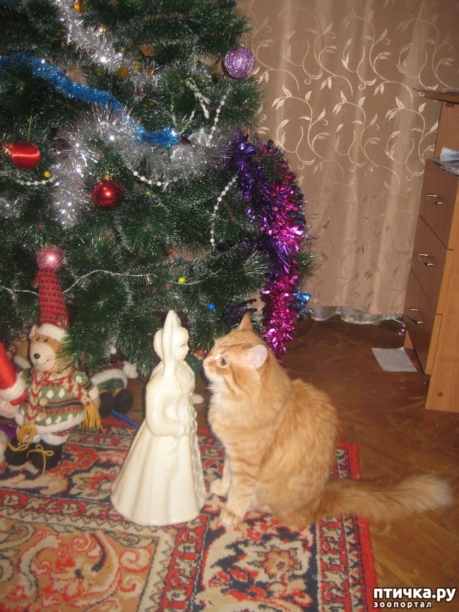 ���� 4: ��� � ����