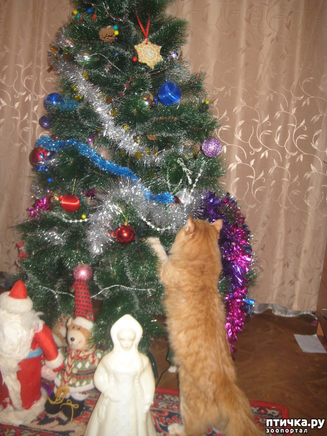 ���� 3: ��� � ����