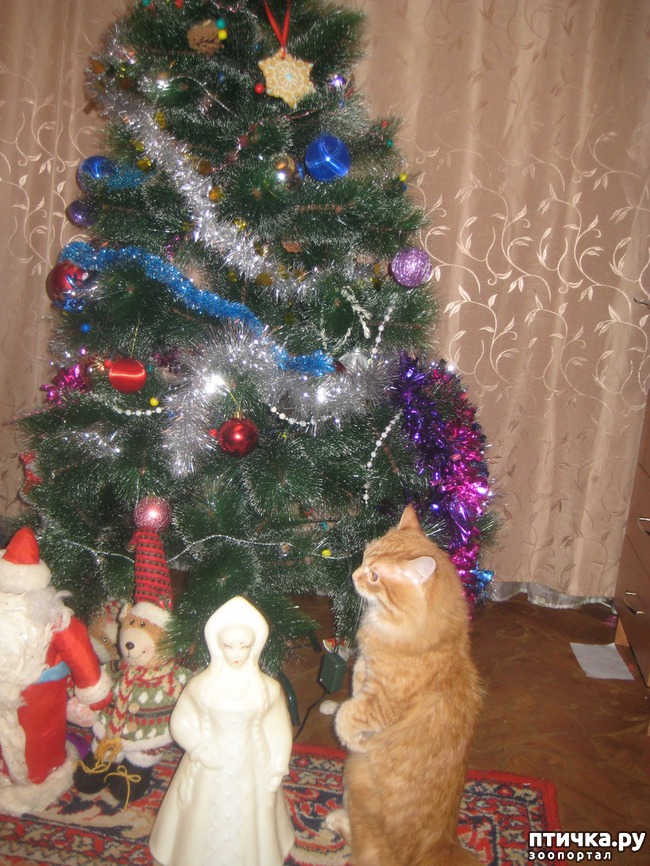 ���� 2: ��� � ����