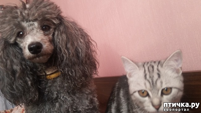 ���� 3: ��������