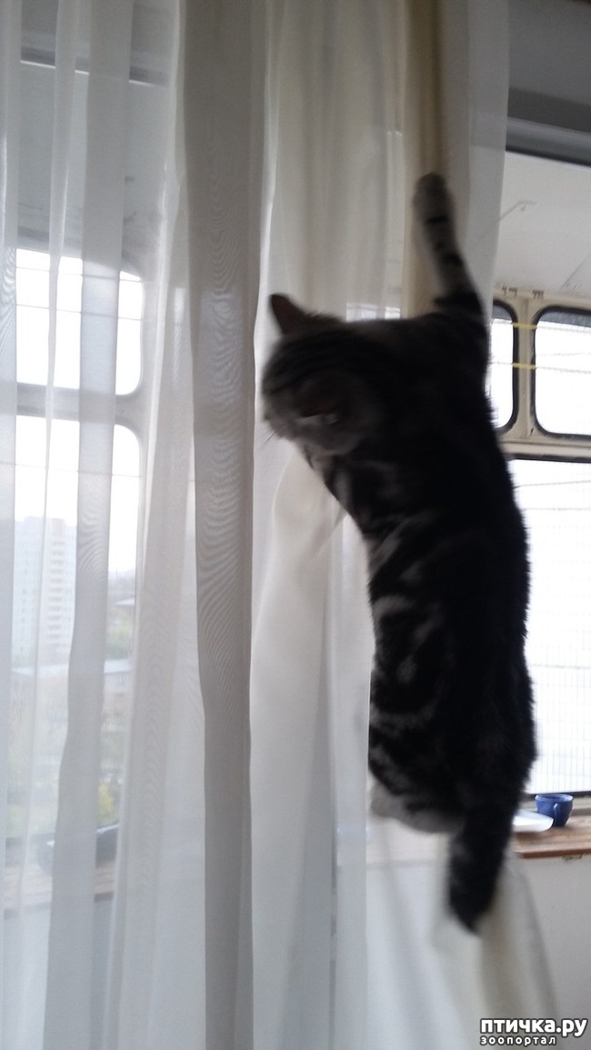 ���� 7: ��������