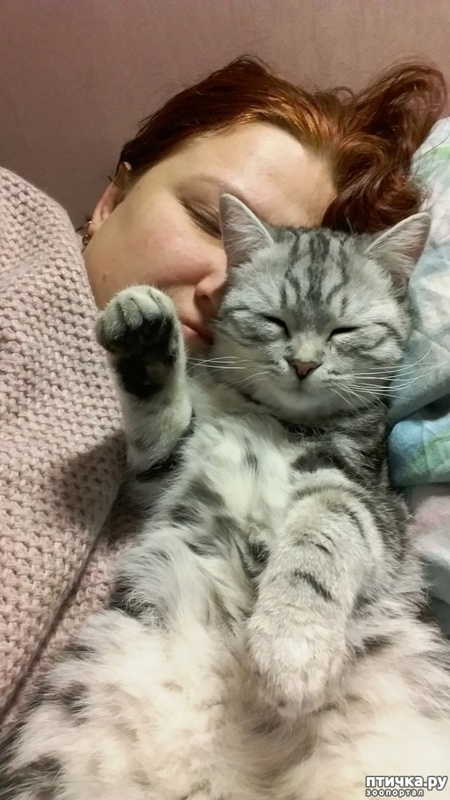 ���� 6: ��������