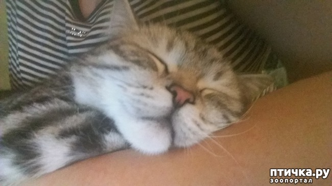 ���� 9: ��������