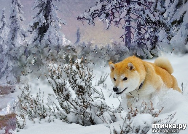 ���� 2: ��� ������