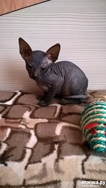 ���� 1: ��� ��������� � ���������� �������