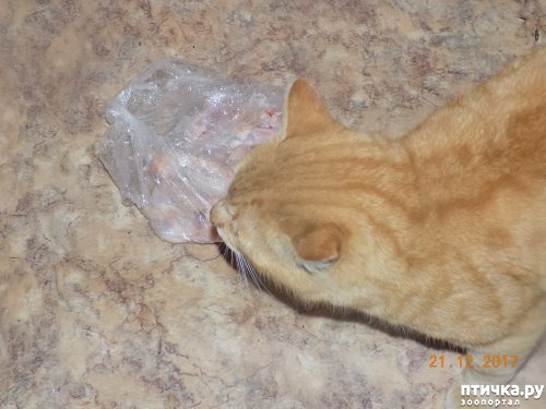 ���� 3: �������� �������