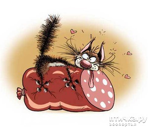 ����: �������� �������