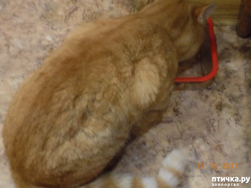 ���� 5: �������� �������