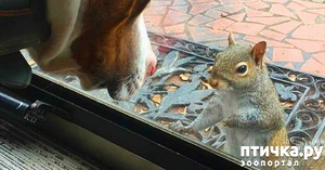 ����: ��� �������������� ����� 8 ��� ������ ��������� � ����� ����� �����. � ��� ������...