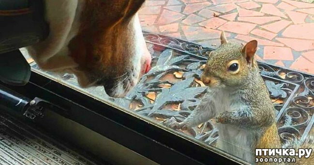 ���� 1: ��� �������������� ����� 8 ��� ������ ��������� � ����� ����� �����. � ��� ������...