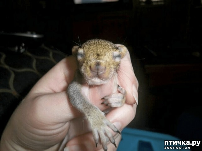 ���� 2: ��� �������������� ����� 8 ��� ������ ��������� � ����� ����� �����. � ��� ������...