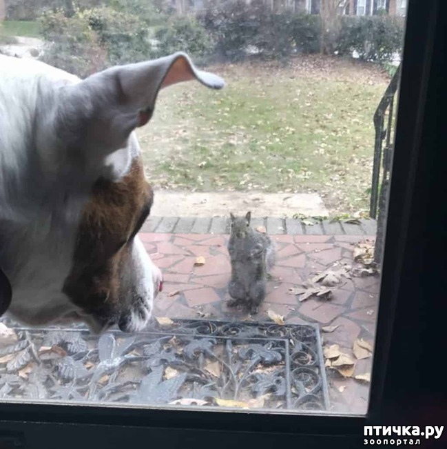 ���� 3: ��� �������������� ����� 8 ��� ������ ��������� � ����� ����� �����. � ��� ������...