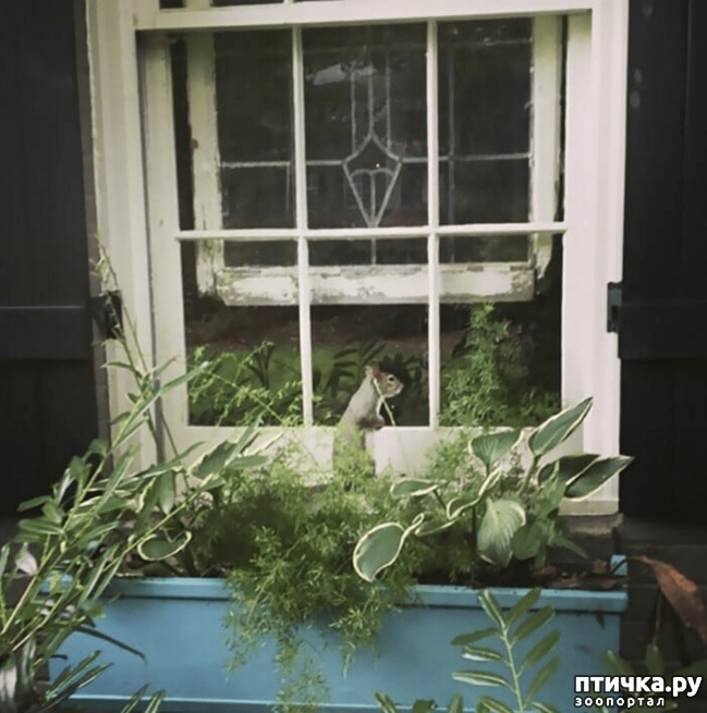 ���� 4: ��� �������������� ����� 8 ��� ������ ��������� � ����� ����� �����. � ��� ������...