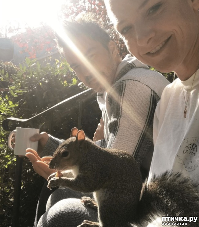 ���� 6: ��� �������������� ����� 8 ��� ������ ��������� � ����� ����� �����. � ��� ������...