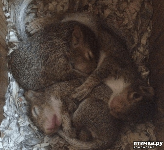 ���� 7: ��� �������������� ����� 8 ��� ������ ��������� � ����� ����� �����. � ��� ������...