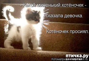 ����: ���������� ��������� �����������!!!