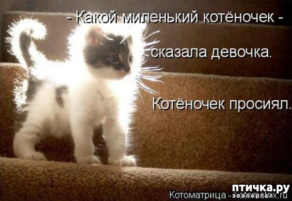 ���� 1: ���������� ��������� �����������!!!