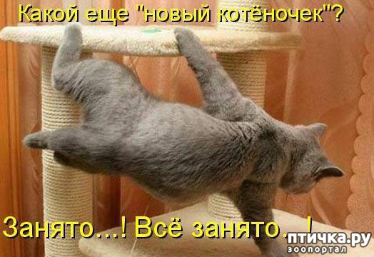 ���� 2: ���������� ��������� �����������!!!