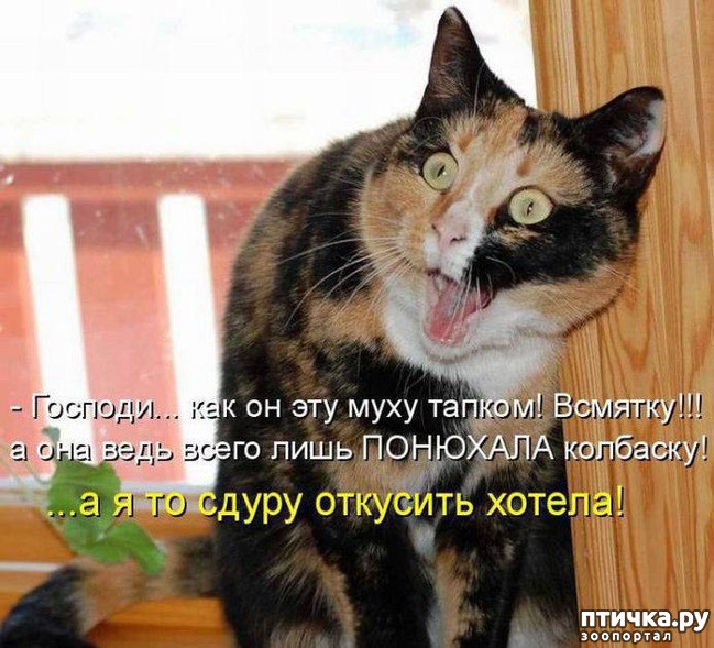 ���� 4: ���������� ��������� �����������!!!