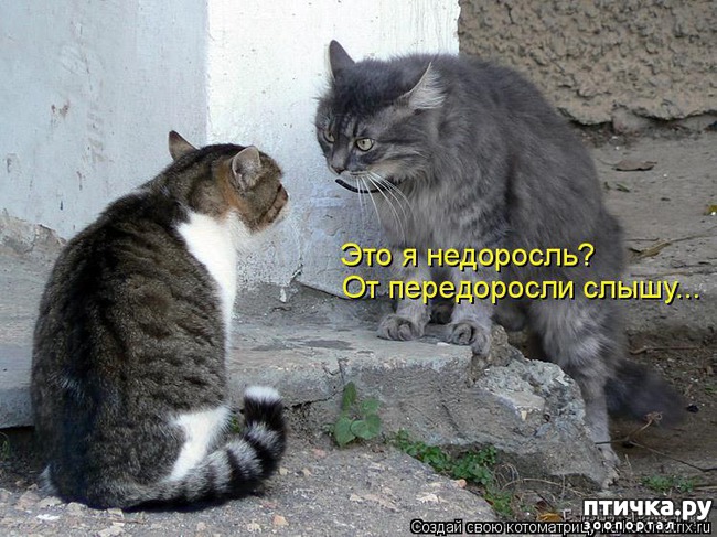 ���� 5: ���������� ��������� �����������!!!