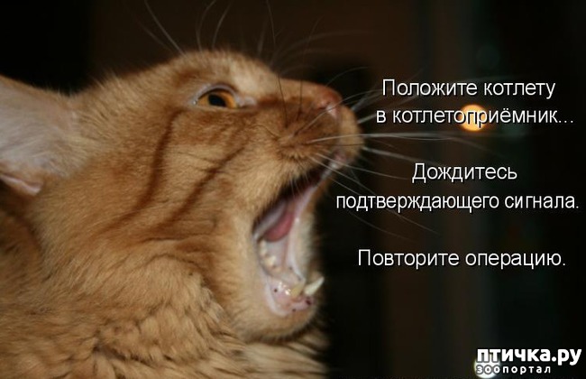 ���� 6: ���������� ��������� �����������!!!