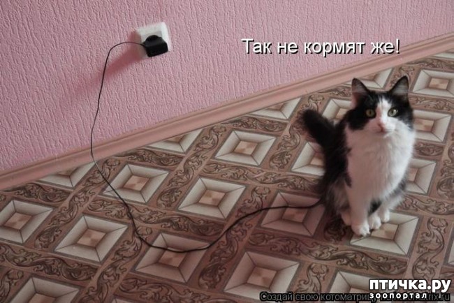 ���� 10: ���������� ��������� �����������!!!