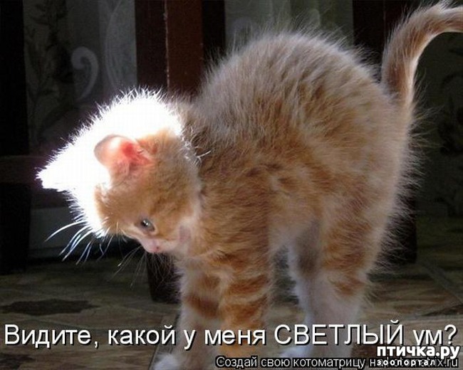 ���� 11: ���������� ��������� �����������!!!