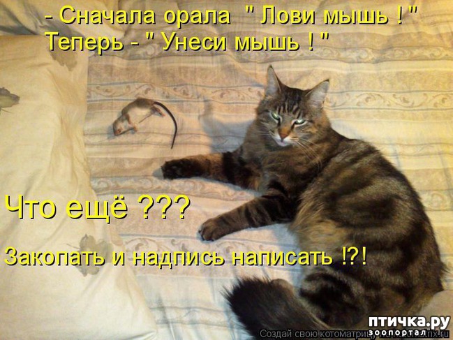 ���� 12: ���������� ��������� �����������!!!