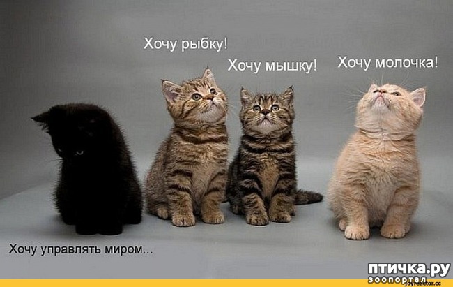 ���� 13: ���������� ��������� �����������!!!