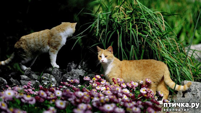 ���� 1: � �������� ��������� ��������� �������� ������� ��� �����