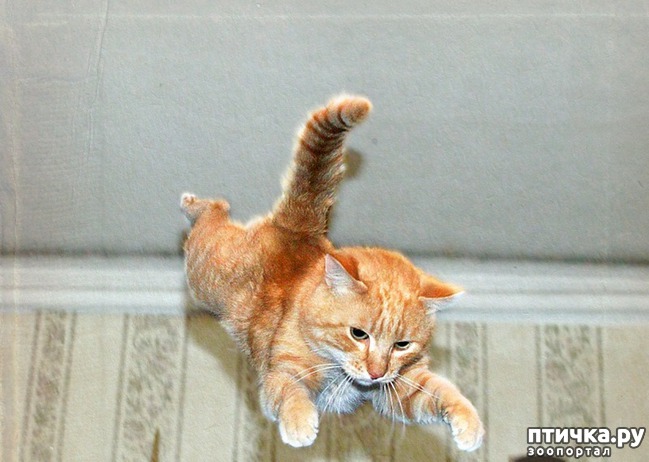 ���� 15: ���������� ��������� �����������!!!