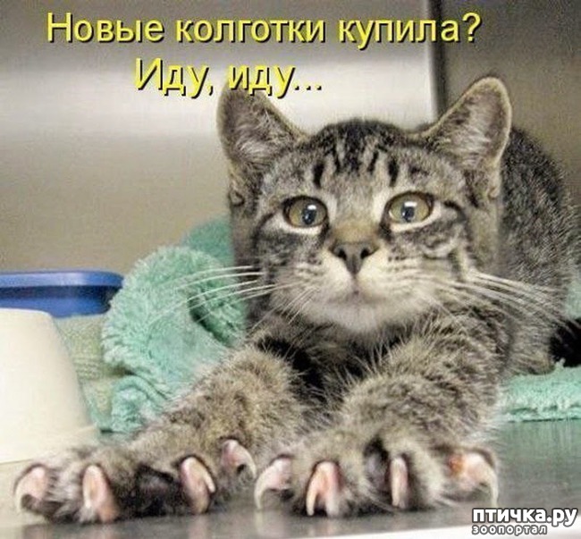 ���� 16: ���������� ��������� �����������!!!