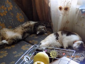 ����: � ���� ����� ��� �����