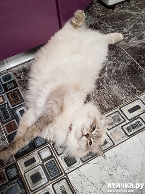 ����: ��������� ��������