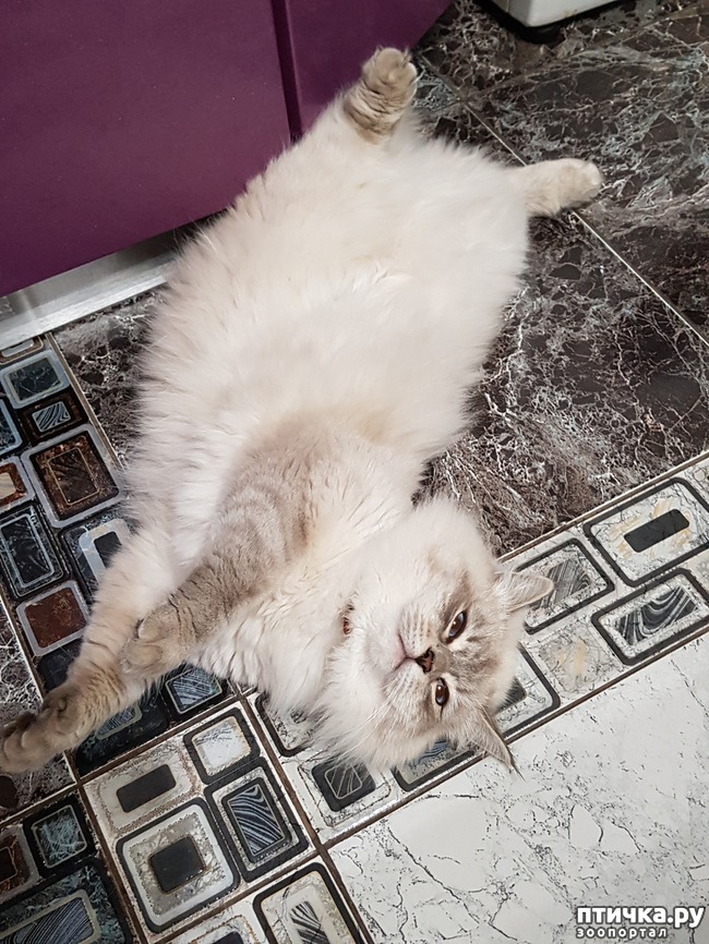 ���� 1: ��������� ��������