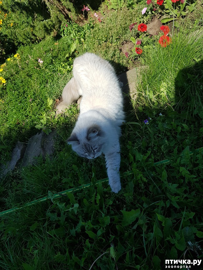 ���� 2: ��������� ��������