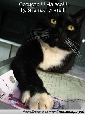 ����: ��������� �����������, ��!