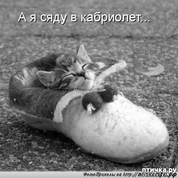 ���� 2: ��������� �����������, ��!