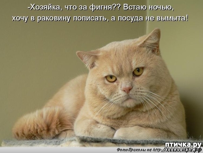 ���� 3: ��������� �����������, ��!