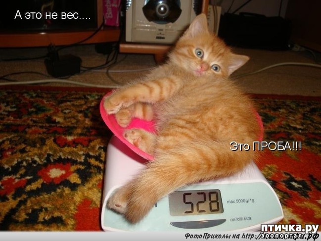 ���� 5: ��������� �����������, ��!