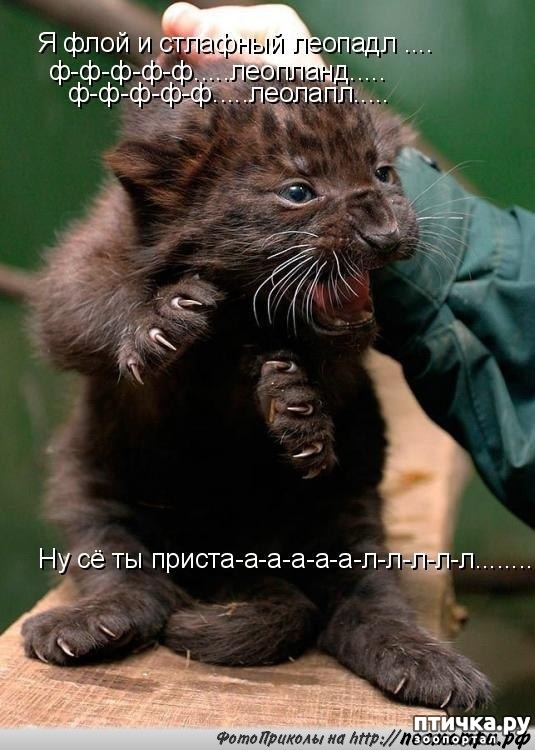 ���� 4: ��������� �����������, ��!