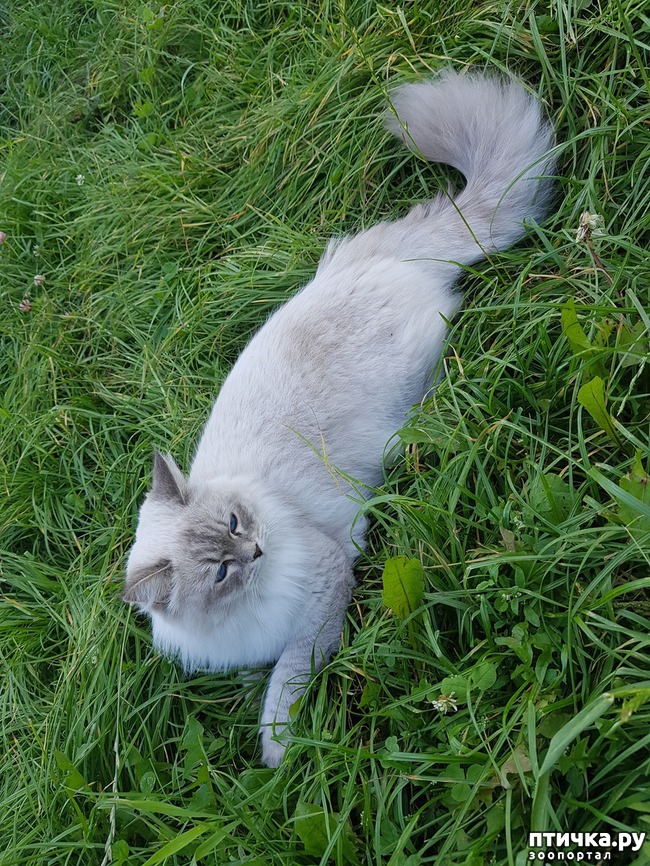 ���� 3: ��������� ��������