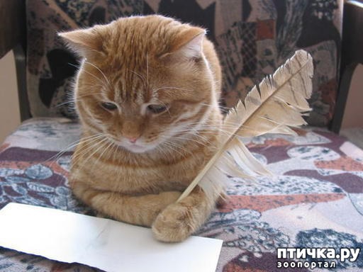 ���� 1: �������� (������� � ��������� ���������)