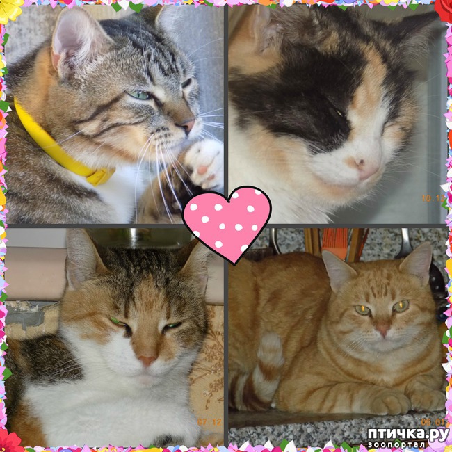 ���� 4: � ���� ����� ��� �����