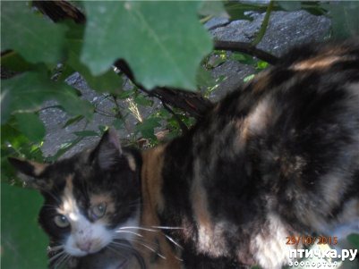 ���� 5: � ���� ����� ��� �����