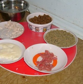 ���� 7: � ���� ����� ��� �����