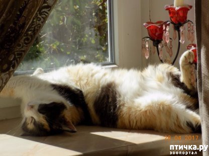 ���� 8: � ���� ����� ��� �����